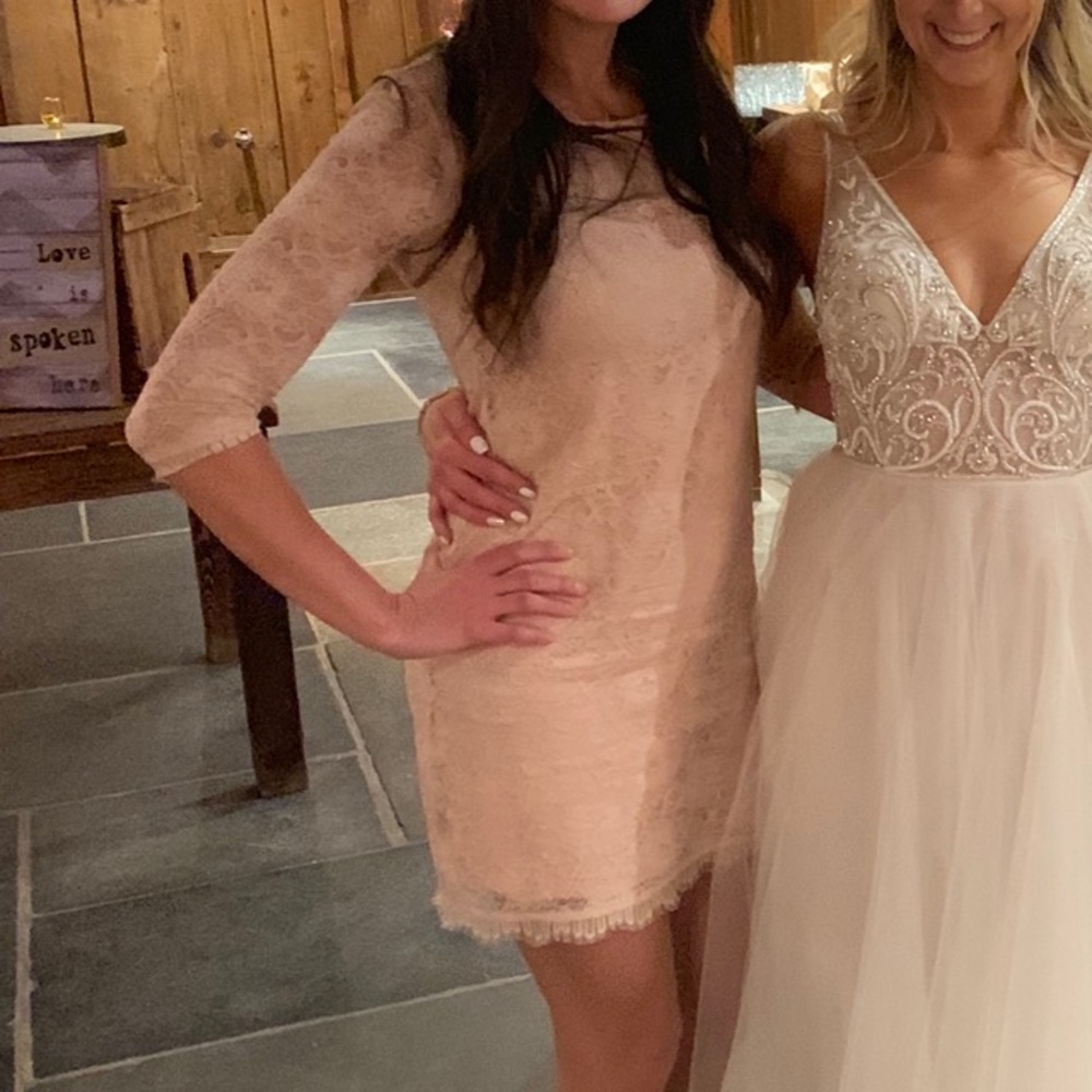 NY & Co Pink Lacey Dress, XS - Picture 7 of 7